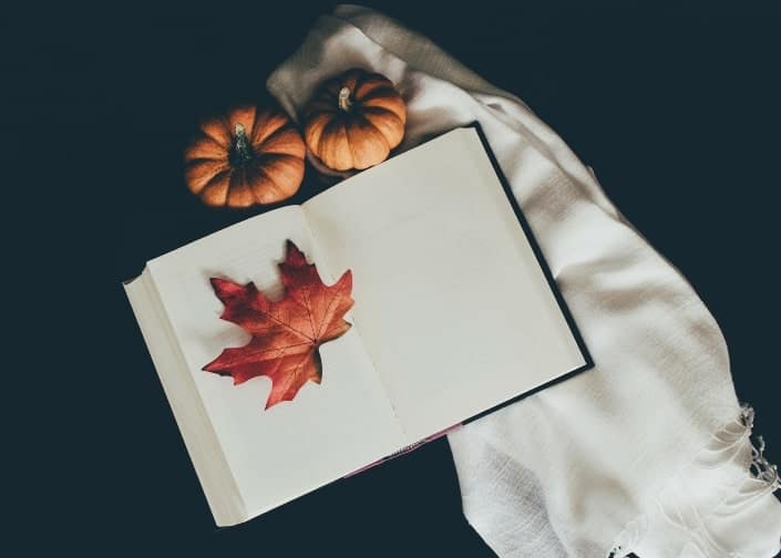 dried brown leaf on book page