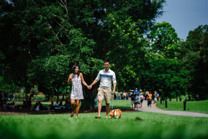 Couple walking a Corgi at a park. 