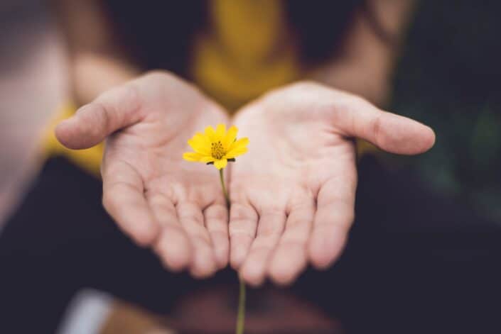 girl holding a flower between her hands