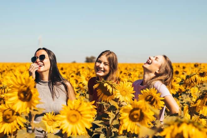 spicy questions to ask friend - three women in sunflower field