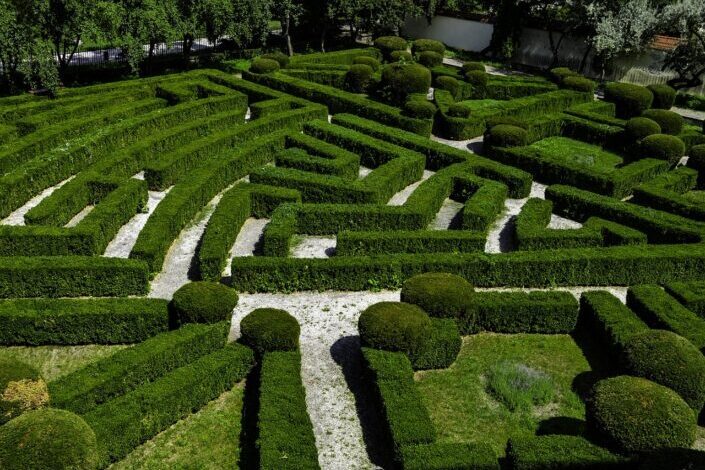 a garden maze